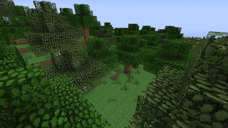 lots of Forrest spack lots of Forrest spack